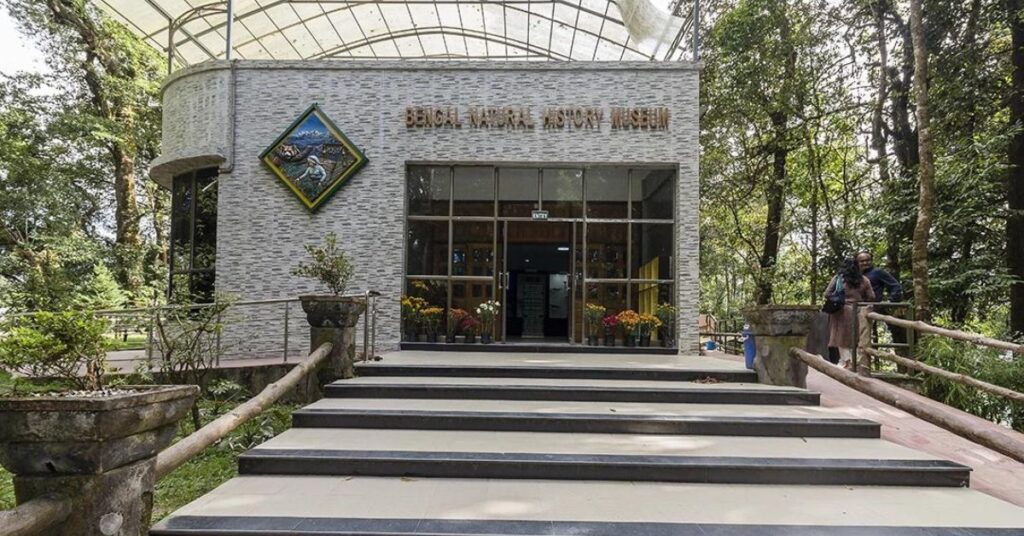 Top 10 places to visit in Darjeeling - Bengal Natural History Museum